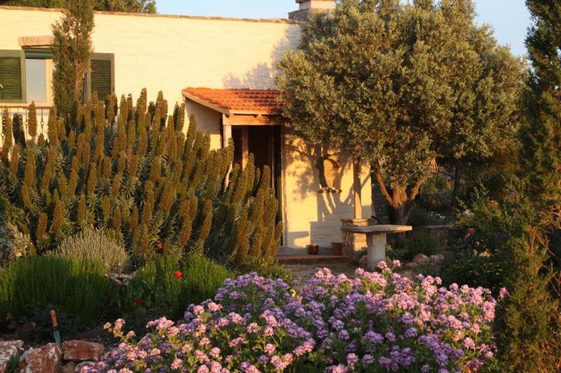 Hostal To The Garden Angairiá Exterior foto